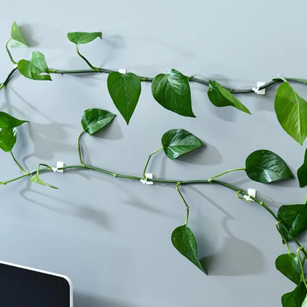 Invisible Plant Support Clips for Climbing Orchid Flower Ties